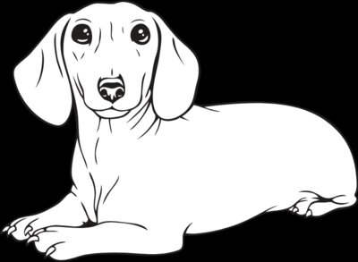 Dachshund02NC2bw