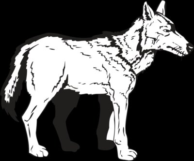 COYOTE4