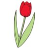 Tulip01NC2clr