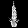 Gladiolus01NC2bw
