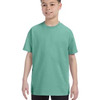 Youth 6.1 oz. Tagless® T-Shirt