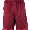 Unisex Mesh Shorts