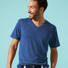 Men's Triblend V-Neck T-Shirt
