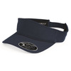 110® Visor