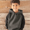 Toddler Special Blend Hooded Raglan Sweatshirt